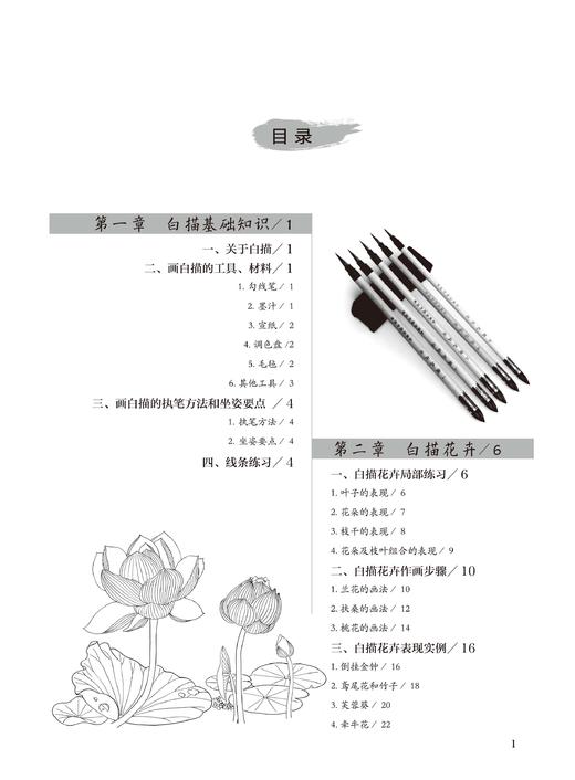 2019新书 白描入门实用教程 张恒国 动植物风景人像绘画技巧新手入门教程 执笔方法坐姿要点线条练习细节临摹 素描写真手绘国画书 商品图2