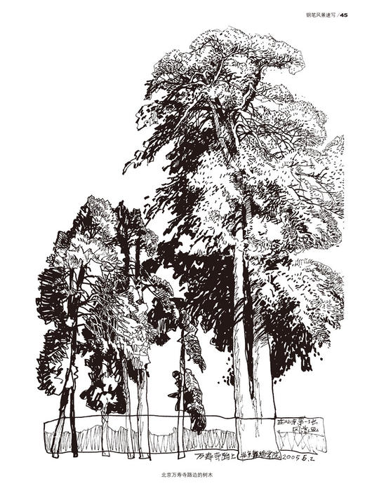 钢笔风景速写（湖北美院教授著作，打造基础教学经典；图文并茂，掌握实用绘画技法；精彩范例，方便临摹） 商品图3