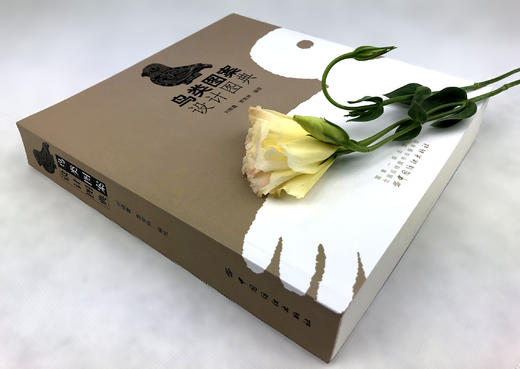 鸟类图案设计图典：一本汇集了两千余种鸟类各种姿态的装饰图案书 商品图1