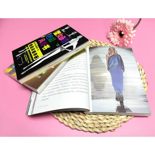 跟服装大师学经典搭配 共3册 红色范思哲灰色阿玛尼+优雅夏奈尔经典纪梵希+型女必备色彩风格书 风格与搭配 色彩搭配 服饰穿搭书籍 商品图4