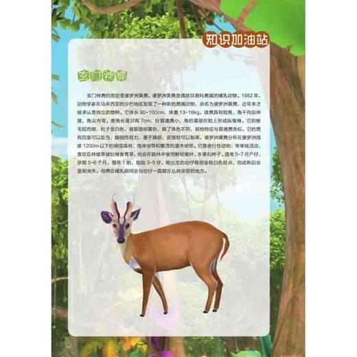 给孩子的博物科学漫画书·寻灵大冒险5·塔鲁曼之门 商品图3