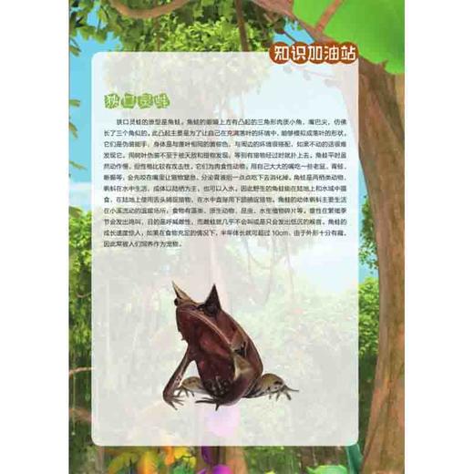 给孩子的博物科学漫画书·寻灵大冒险6·误入蚁穴 商品图2