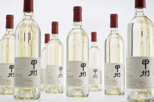 木村拓哉大热日剧神级葡萄酒 | 甲州葡萄酒 商品图2