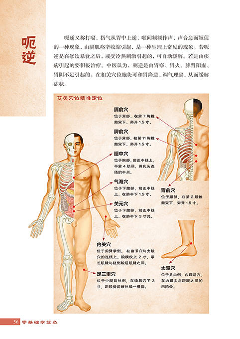 零基础学艾灸 杨秀岩 著 家庭医生生活 新华书店正版图书籍 中国纺织出版社 商品图2