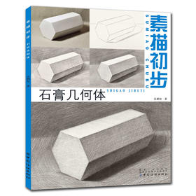 素描初步.石膏几何体素描静物组合临摹书籍美术基础技法结构到位绘画册照片风暴高艺联考主导陈敲平陶罐门砖教学程材大八开
