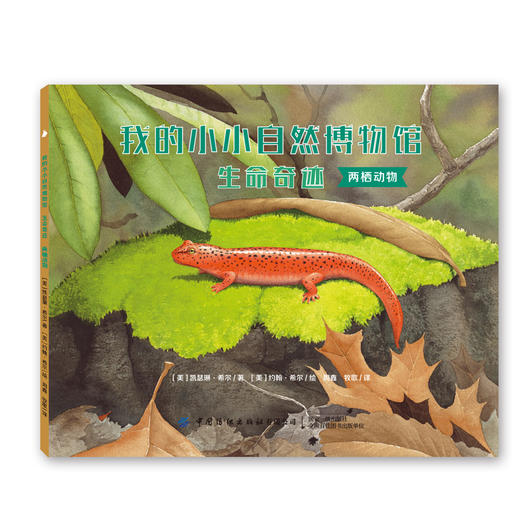 【新书上架】我的小小自然博物馆·生命奇迹 全8册 儿童课外读物 文学自然科普书 自然知识 丰富孩子知识面 趣味百科全书 动物绘本 商品图4