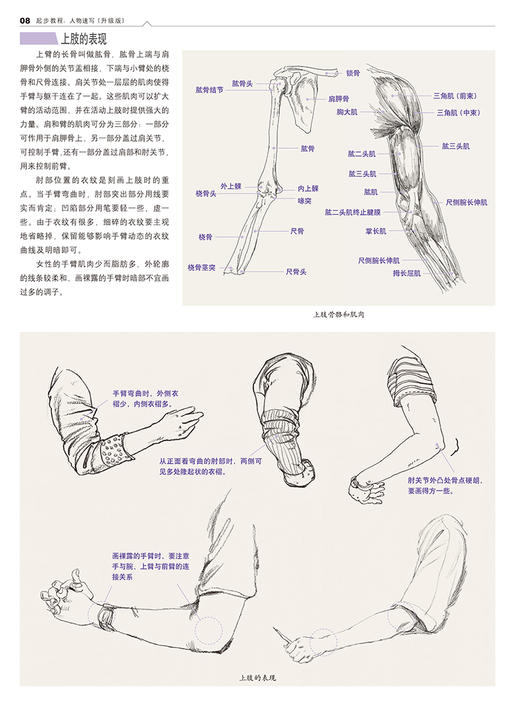 起步教程：人物速写（升级版） 速写人物头像入门教材 铅笔素描结构教学  素描书入门自学零基础 素描基础教程 商品图1