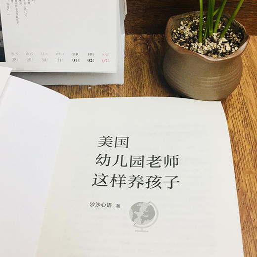美国幼儿园老师这样养孩子 跟美国幼儿园老师学早教 国际视野妈妈的育儿手记 家庭教育正面管教好妈妈胜过好老师 如何说孩子才会听 商品图3