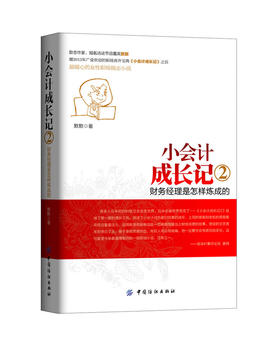 小会计成长记新手会计入门会计职场故事书籍会计税务会计总账会计财务部会计工作技巧指南基础教程