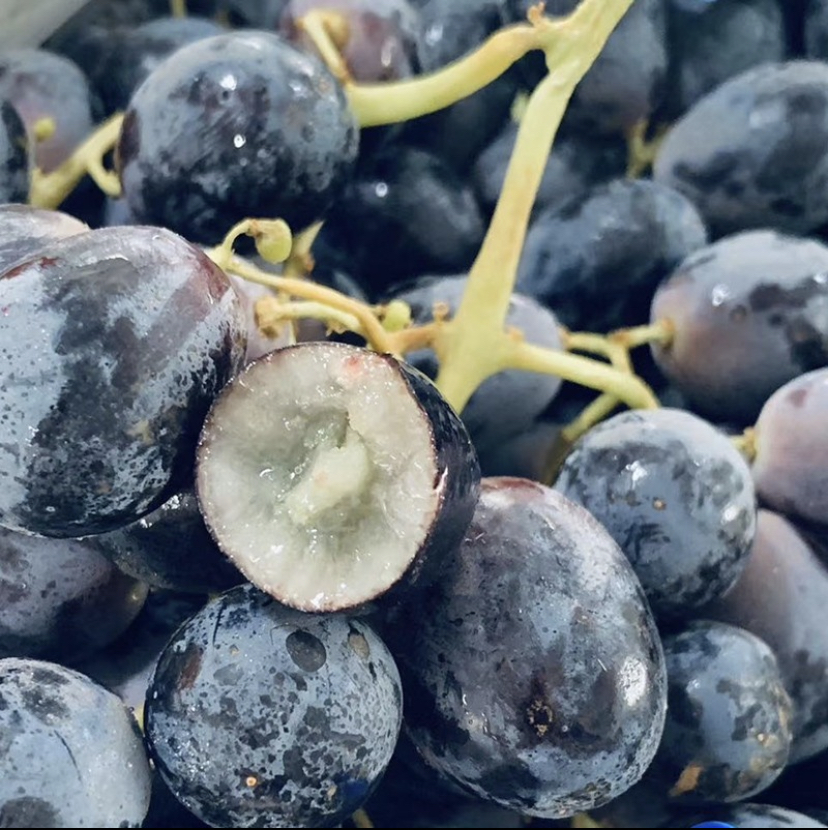 黑加仑500g坏果包赔