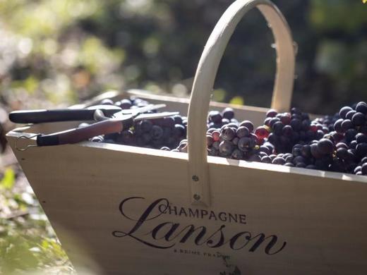 Lanson Clos Lanson 2008 克洛斯兰颂香槟 2008 礼盒装 商品图5