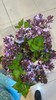 配花-丁香花-紫色 商品缩略图0