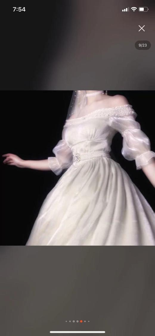 宠物摄影 商品图0