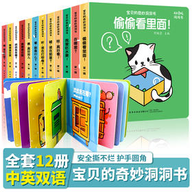 宝贝的奇妙洞洞书第一辑（全12册）