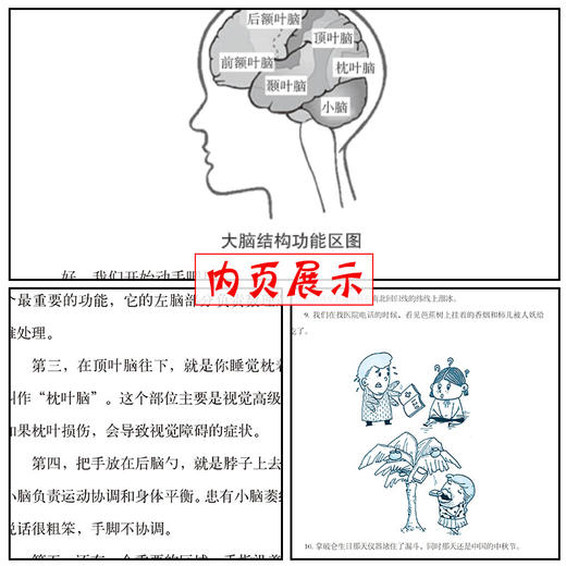 一生受用的记忆提升宝典 商品图4