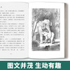 【2020新书】猎蟒 沈石溪 3-6岁小朋友童话故事书亲子阅读小学生课外阅读理解训练儿童读物经典故事书一二三年级课外阅读故事书籍 商品缩略图4