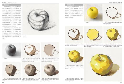 起跑线.色彩入门 王磊水粉画辅导教材教程艺考美术书籍高考素材色彩基础教程少儿童水粉画零基础入门个体静物调色彩书 商品图1