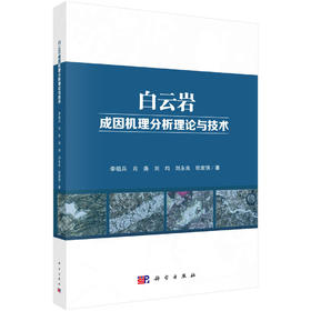 白云岩成因机理分析理论与技术/李祖兵