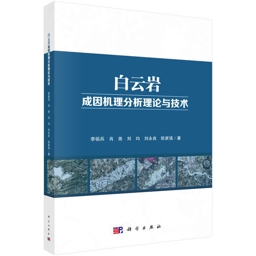 白云岩成因机理分析理论与技术/李祖兵 商品图0