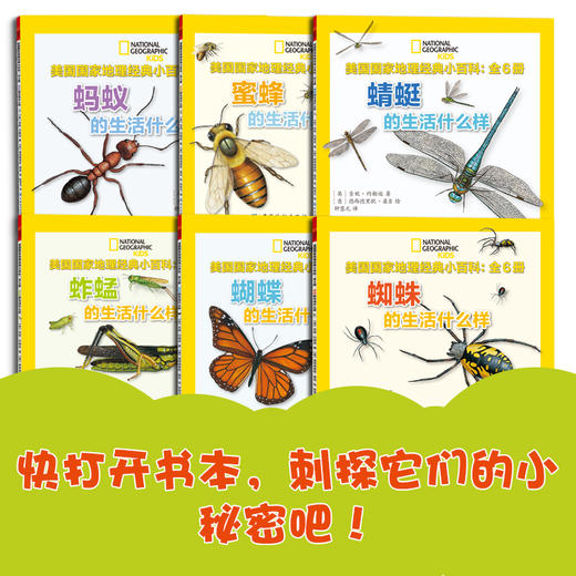 正版书籍 美国国家地理经典小百科：全6册吉妮约翰逊德西德里欧桑吉蝴蝶蜜蜂蚂蚱蚂蚁蜻蜓蜘蛛六位主角形象生动让孩子3~6岁参考 商品图0