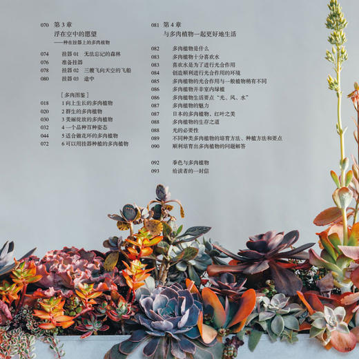 拥有多肉植物的生活 日本季色著 张琳译 多肉图鉴大全养花养殖教程方法多肉种植方法跟搭配生活的生活休闲图书 家庭园艺书籍 商品图4