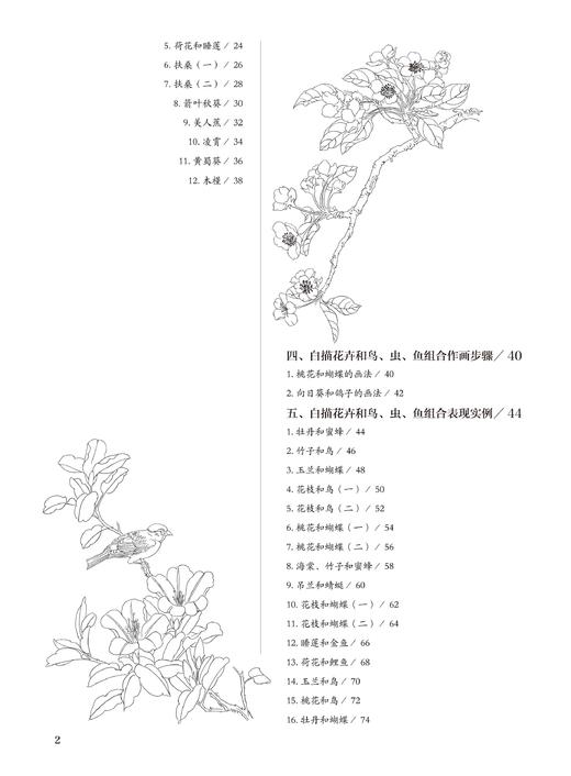 2019新书 白描入门实用教程 张恒国 动植物风景人像绘画技巧新手入门教程 执笔方法坐姿要点线条练习细节临摹 素描写真手绘国画书 商品图3