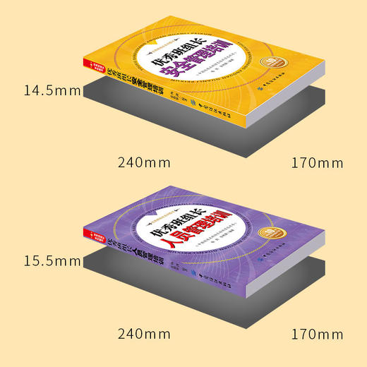 5册|优秀班组长安全管理培训+现场+基础+质量+人员管理培训管理方面的书籍企业人员团队5S管理书籍畅销书工厂生产酒店餐饮服务行业 商品图2