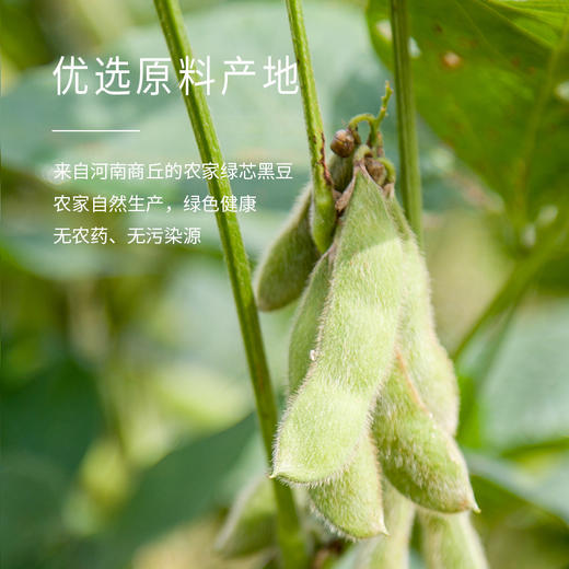 无油干炒、健康高蛋白的香酥绿芯炒黑豆3瓶装 商品图5
