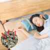 平直堂·艾草养身枕，躺着养身，越睡身体越舒坦 商品缩略图0