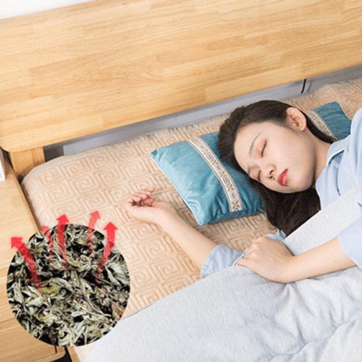 平直堂·艾草养身枕，躺着养身，越睡身体越舒坦 商品图0