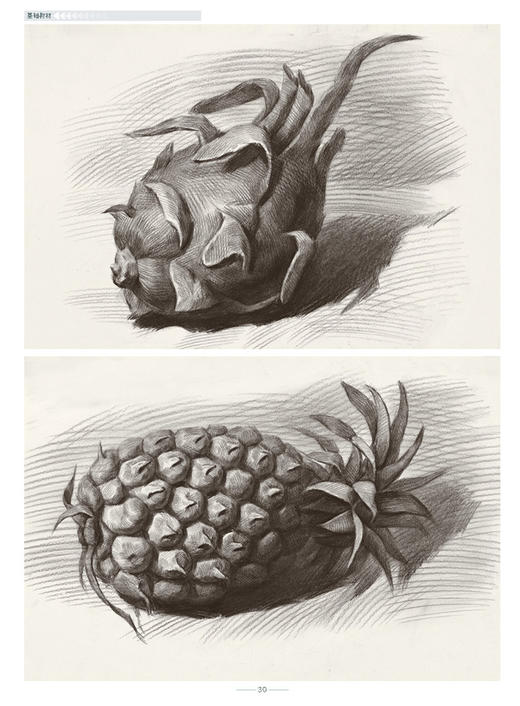 基础教材.单体静物 张承国著 备战美术考试 单体静物素描书 零基础 入门 静物素描书 素描的诀窍 正版 从零开始学素描 素描风暴 商品图3