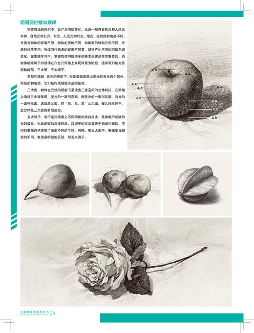 正版书籍 绘画基础系列 素描静物 国青少年美术辅导教材 素描基础教程结构与明暗画画书技法详解临摹考试书主旋律系列 商品图2