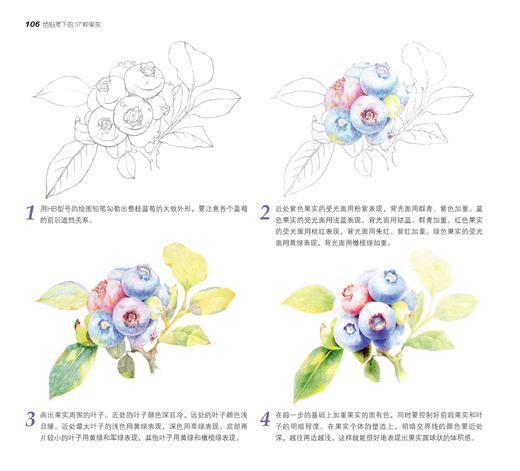 正版 色铅笔下的37种果实 十六糖 色铅笔技法绘画基础果实形态色彩色铅笔入门色铅笔爱好者绘画爱好者参考阅读用书 商品图1