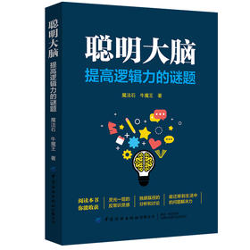 2020新书 聪明大脑 提高逻辑力的谜题 魔法石 牛魔王 高初中学生快速解决数理化等学科问题 大脑思维训练方法 逻辑能力提升培训书