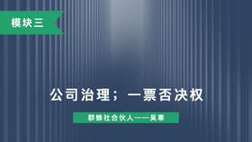 第十五讲：公司治理；一票否决权