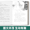 【2020新书】女巫和老房子 王一梅3-6岁小朋友童话故事书亲子阅读小学生课外阅读理解训练儿童读物经典故事书一二三年级课外阅读书 商品缩略图4