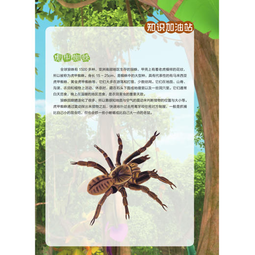 【2020新书】给孩子的博物科学漫画书 寻灵大冒险2 破解冰洞的秘密 博物科学漫画书 植物百科全书 大自然科学现象植物动物科普书籍 商品图3