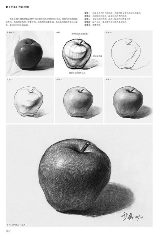 素描静物4/素描基础教学规范用书素描静物组合临摹书籍美术基础技法结构到位绘画册照片风暴高艺联考主导 商品图2