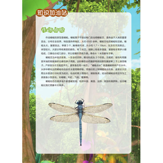 【2020新书】给孩子的博物科学漫画书 寻灵大冒险4 剑灵之谜 博物科学漫画书 植物百科全书 大自然科学现象植物动物科普知识书籍 商品图3
