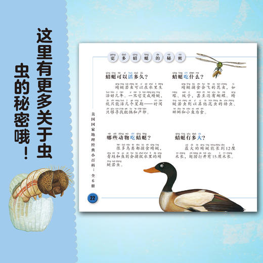 正版书籍 美国国家地理经典小百科：全6册吉妮约翰逊德西德里欧桑吉蝴蝶蜜蜂蚂蚱蚂蚁蜻蜓蜘蛛六位主角形象生动让孩子3~6岁参考 商品图4