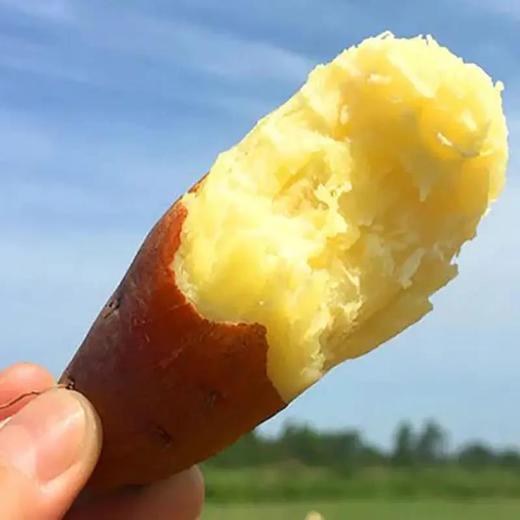 『海南桥头地瓜』真正的香嫩无丝，入口粉糯香甜，一切都刚好！ 商品图1