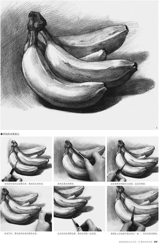 静物单体训练 素描基础技法丛书2之一 零基础初学者解剖与透视训练入门组合绘画大关系透视美术基础技法单个体 商品图4