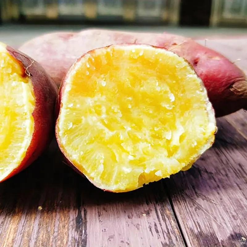 『海南桥头地瓜』真正的香嫩无丝，入口粉糯香甜，一切都刚好！