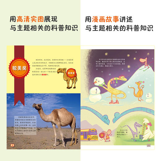 2020新书 不一样的手绘认知小百科（全8册）3-6岁儿童科普百科图书书籍 儿童动物百科知识大全书籍 小学生幼儿园宝宝绘本大全书籍 商品图3