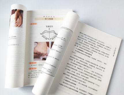 现货正版【出版社直销】阴阳九针+阴阳九针2二 全2册 任之堂主人自创针法大揭密 中医中医药出版社套装书 针灸书 阴阳九针全套 商品图4