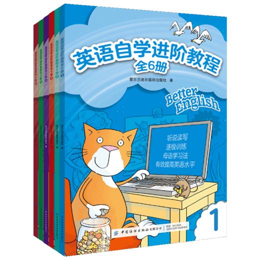 套装全6本 英语自学进阶教程 中小学儿童英语学习入门基础辅导书 英语思维培养指南 青少年外语学习资料 英语口语听力阅读写作技巧 商品图0