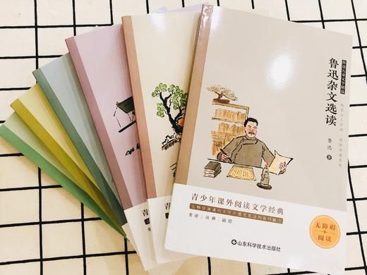 鲁迅儿童文学精选全6册 商品图4