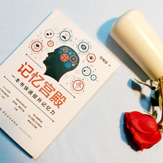 记忆力训练书 一生受用的记忆提升宝典正版 零基础入门提升记忆力的书 超级记忆法 宫殿记忆法方法技巧讲解教程成人自学记忆力书籍 商品图3