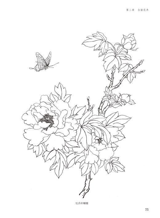 2019新书 白描入门实用教程 张恒国 动植物风景人像绘画技巧新手入门教程 执笔方法坐姿要点线条练习细节临摹 素描写真手绘国画书 商品图4