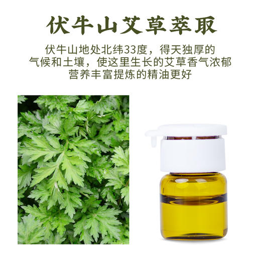 养瑞和丨艾草精油暖灸贴5贴/盒·搭配精油5瓶·暖灸热敷·贴身呵护 商品图4